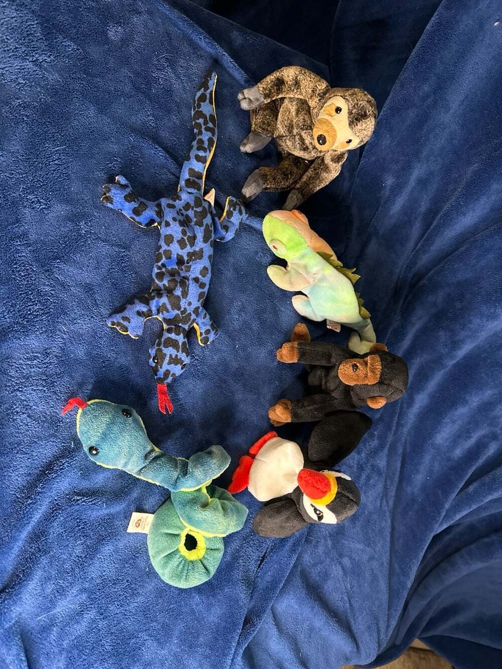 Ty Beanie Babies Lot of 6: Slowpoke, Rainbow, Congo, Puffer, Hissy, Scaly